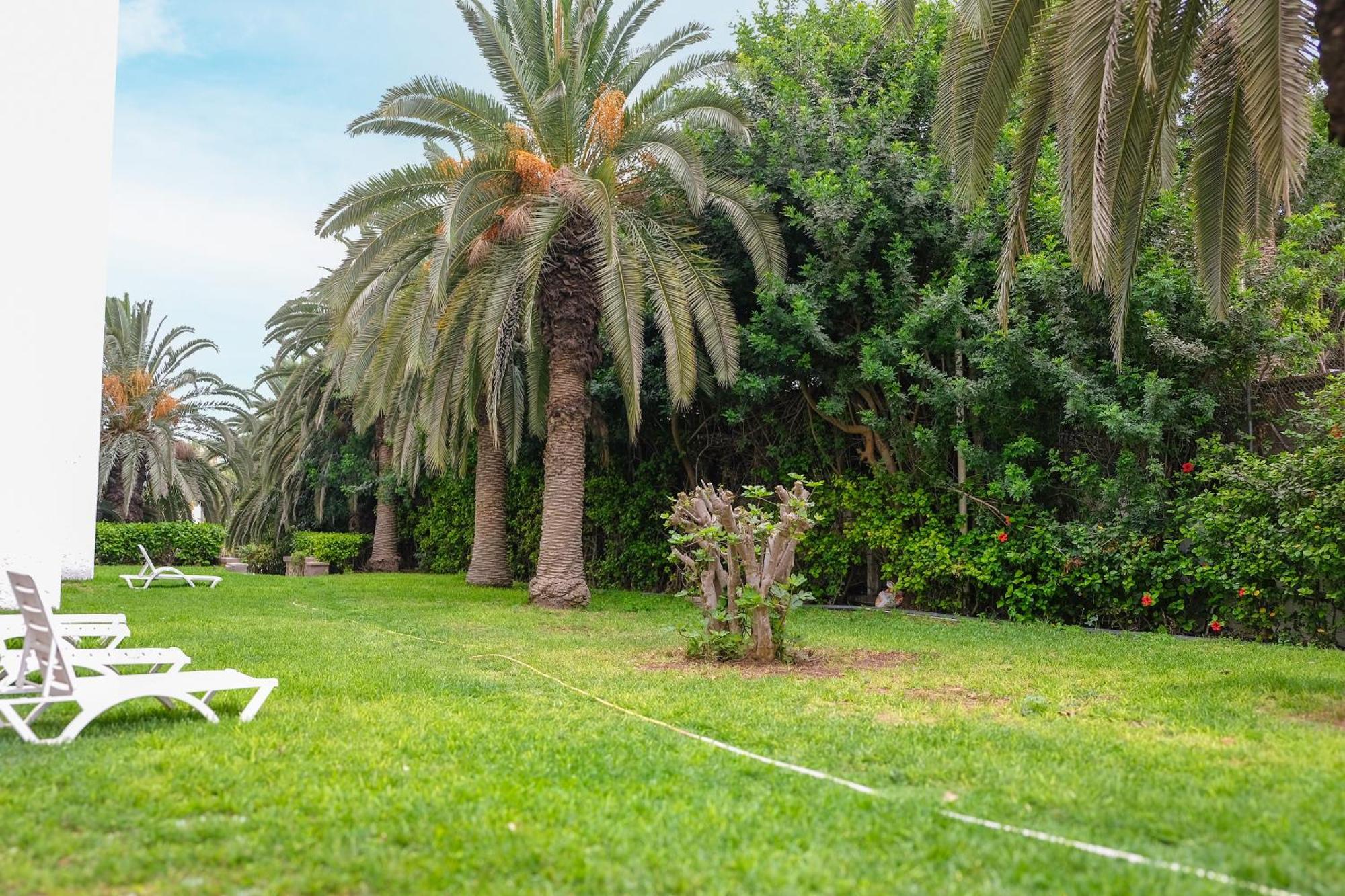 Hotel Hamilton Agadir Exterior foto